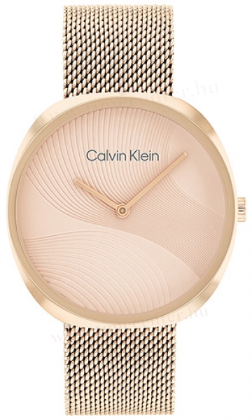 Calvin Klein CK25200247 karóra