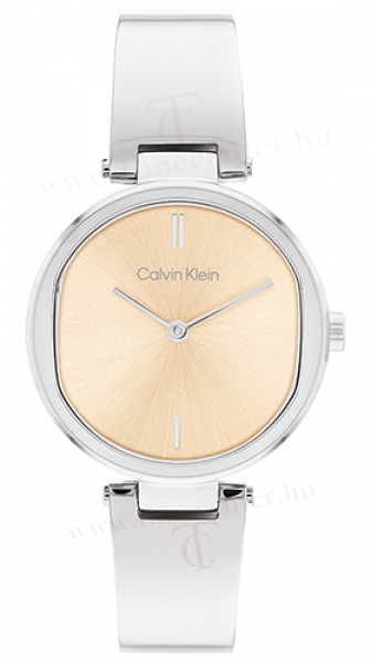Calvin Klein CK25200311 karóra
