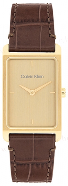 Calvin Klein CK25200530 karóra